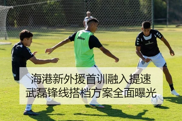 海港新外援首训融入提速 武磊锋线搭档方案全面曝光